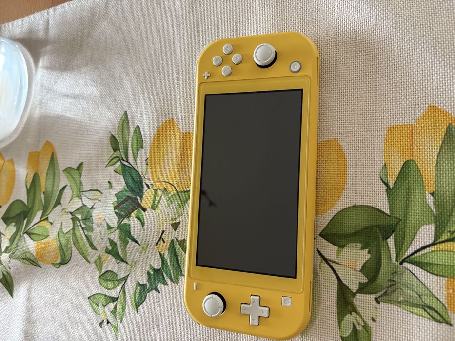 Nintendo switch lite