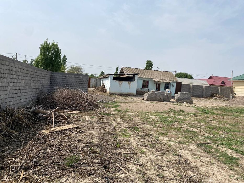 Chorva joyllari mol qoy boqishga