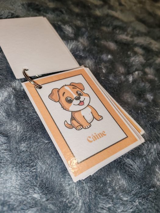 Flashcarduri animale