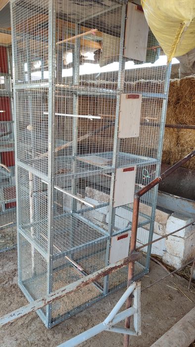 Кафас кушлар учун