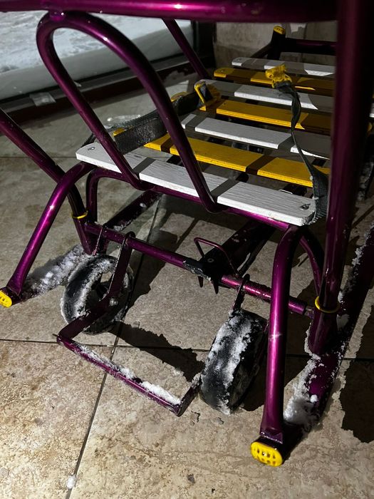 Сани| шана для детей