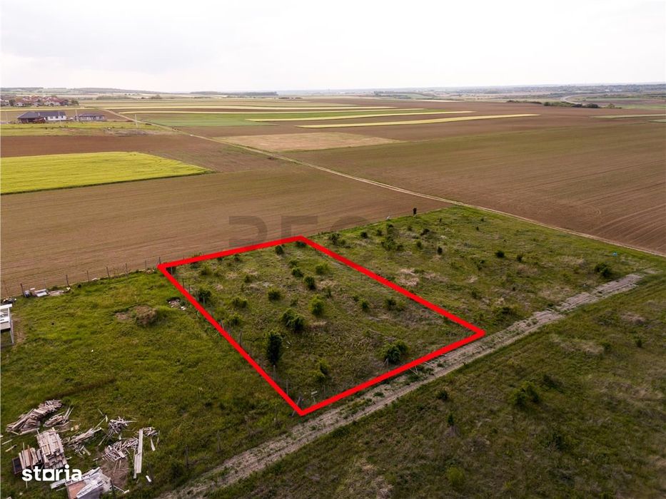 RECO Teren de vanzare Paleu 1025mp