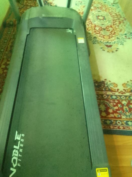 Бегавой дарошка холати зор