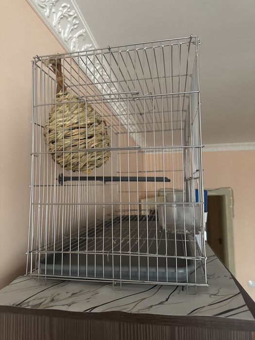 Продам клетка для Птицы