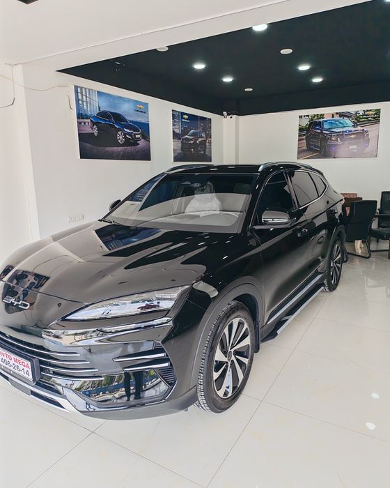 Продается Биваеди чемпион гибрид 2024/2025