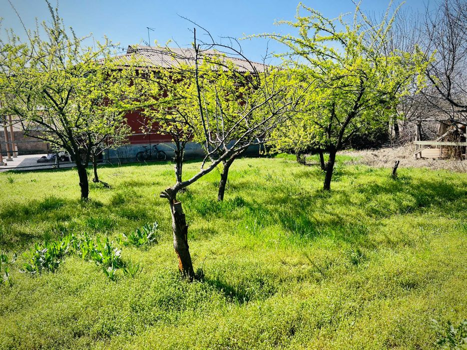Дом на участке 15 соток. Мирзо Улугбекский район (Чингелди)