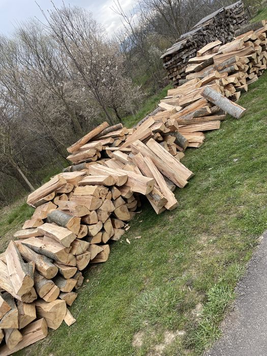 ‼️Vindem lemne de foc [Fag,Gorun,Carpen,Cer] la cel mai bun preț