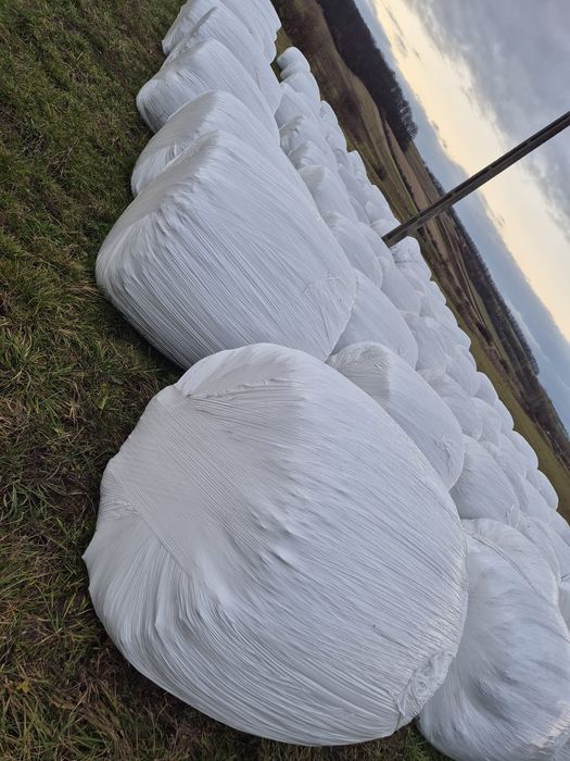 Baloti infoliati de lucerna