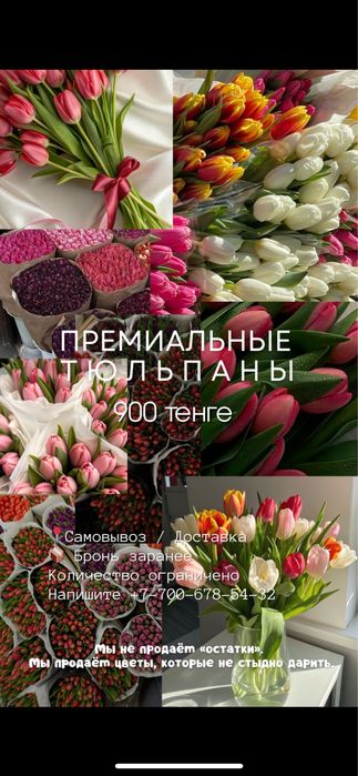 ТЮЛЬПАНЫ со скидкой!