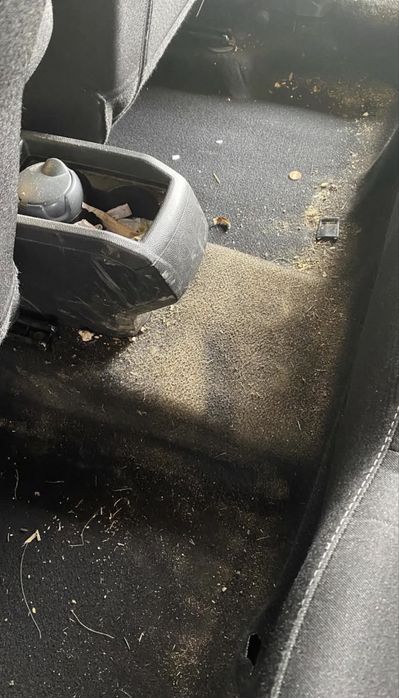 Curățare tapițerie auto/ Canapele la domiciliu