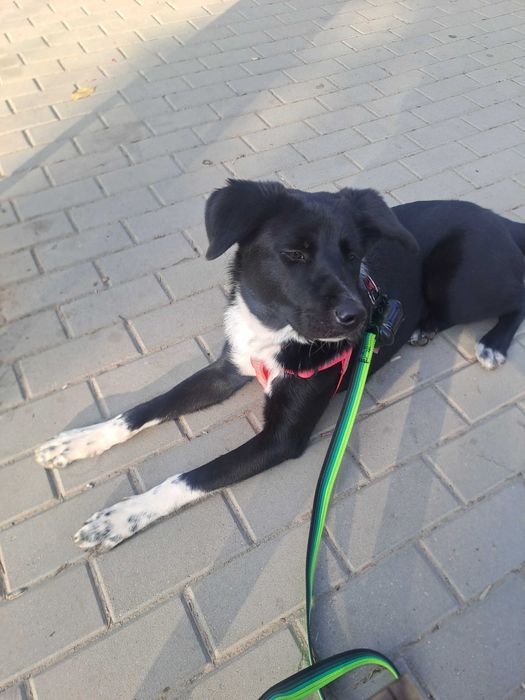 ДОМ за Миа София