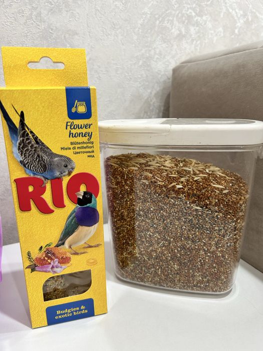 Продам волнистого попугая