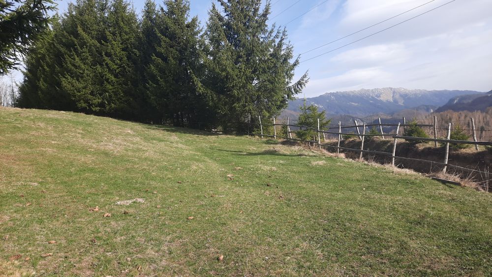 Teren la munte superb ocazie 960 mp