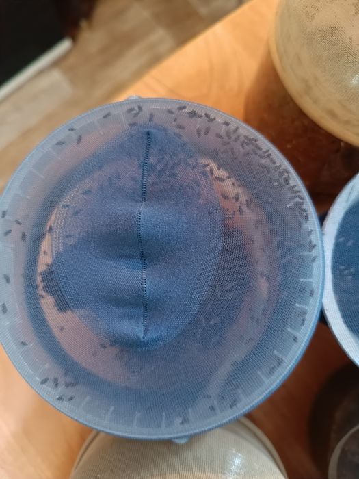 Мушка дрозофила НЕЛЕТАЮЩАЯ