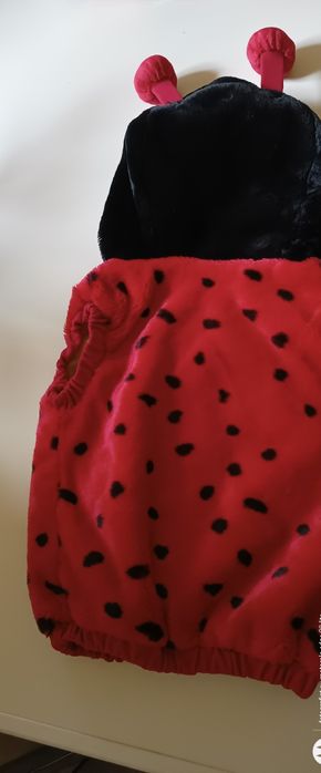 Vesta buburuză și albinuța,copii până în 4ani