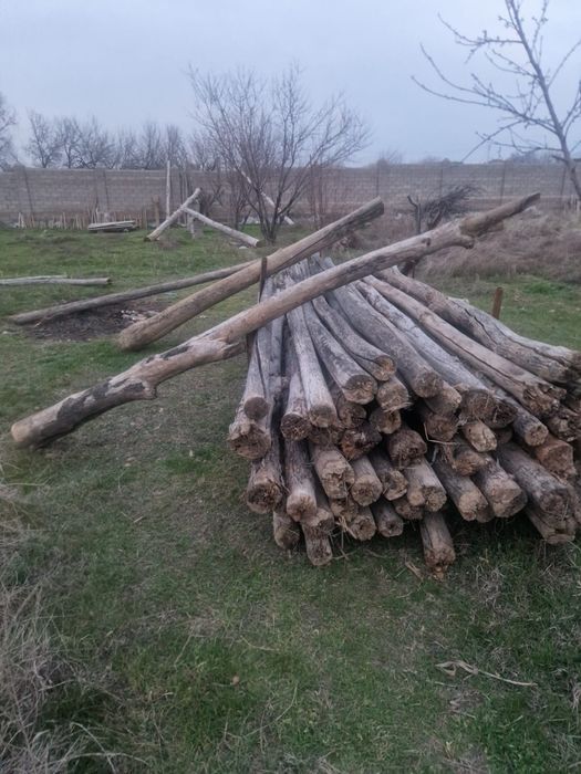 Колючки сым темір, Ағаш, пластмас труба