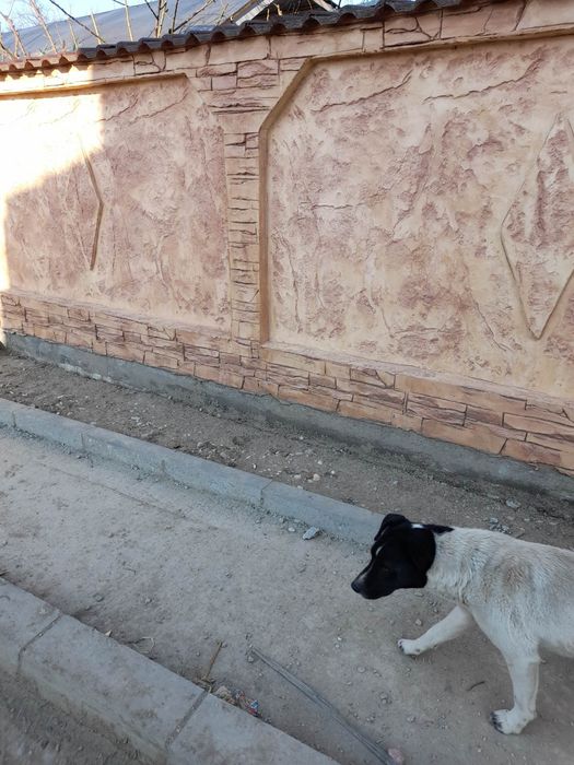 Beton amprentat calitate superioară