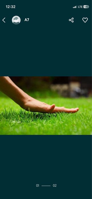 Стрижка газона, елок, деревьев