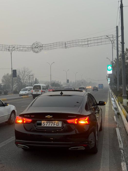 Malibu 2 premer 2022 kraska top tozza