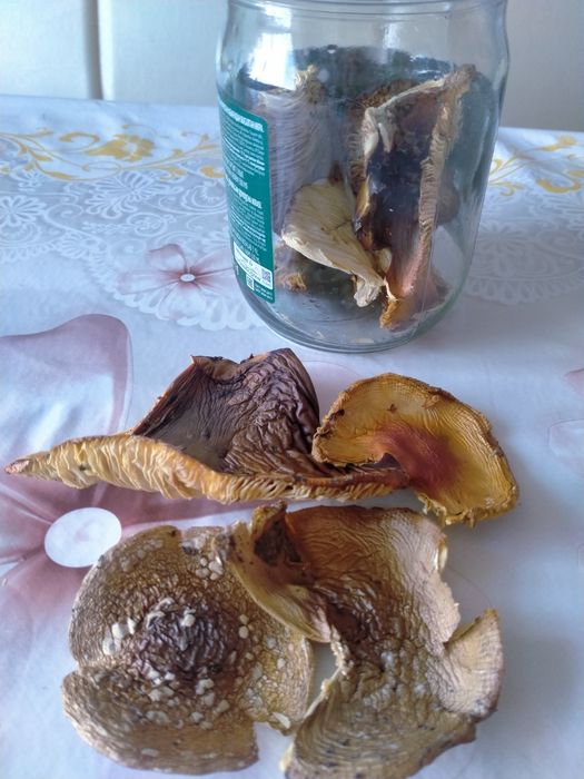 Сушеные шляпки грибов