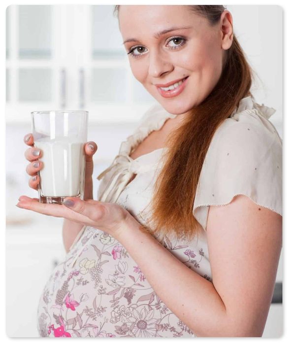 Ciuperca chefir, bacterie probiotica kefir.