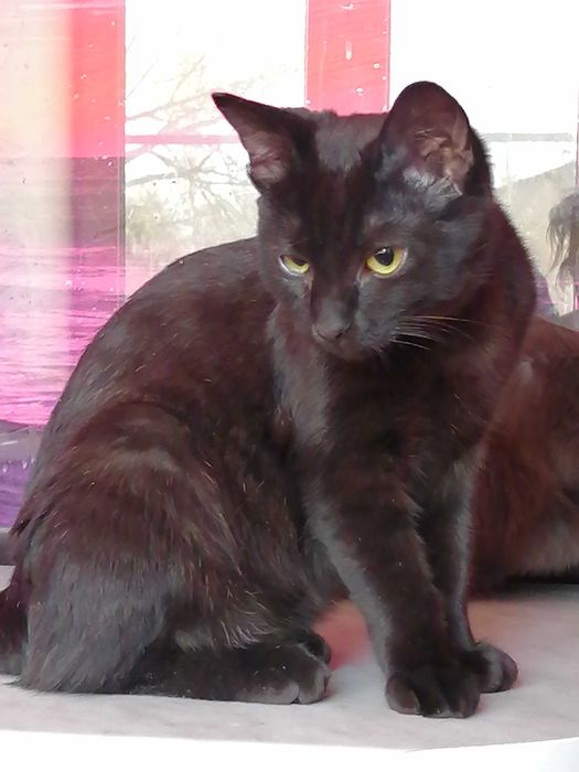 Скрытый узор с "теневыми прозрачными" пятнами. Мальчику 4 мес.