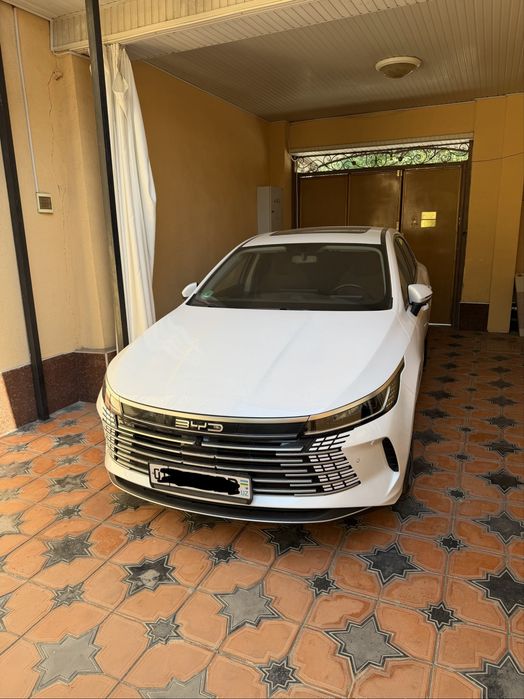 Byd chazor 120 km