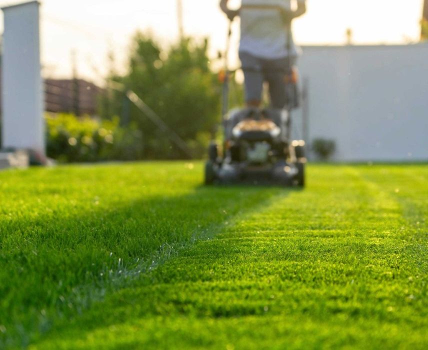 Amenajări grădini | Gazon | Irigații automate | Smart Garden