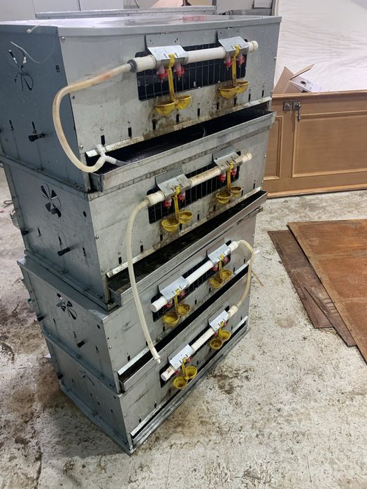 Продам клетки для перепелов