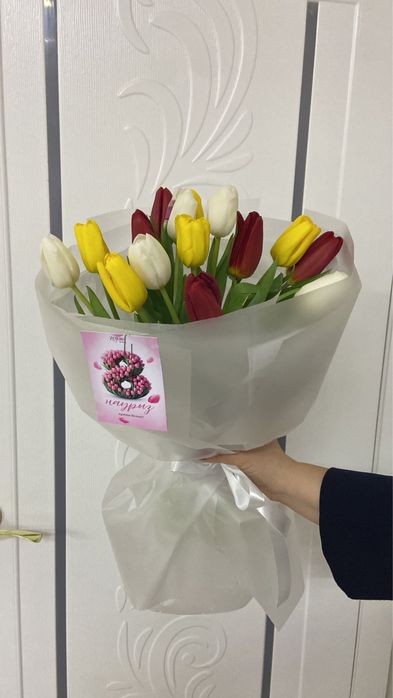 Тюльпаны Астана Сыганак 62