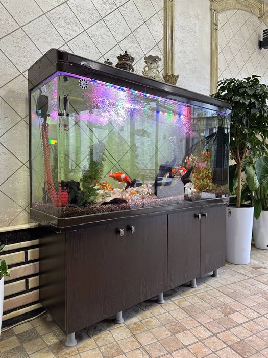 Akvarium sotiladi