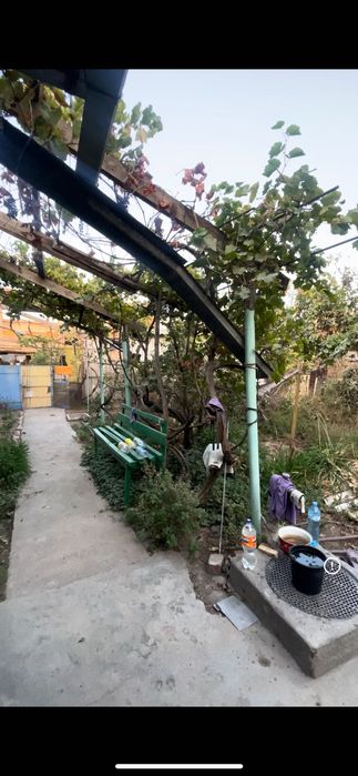 Аренда дома. 3 комнаты. Корзинка Куйлюк.