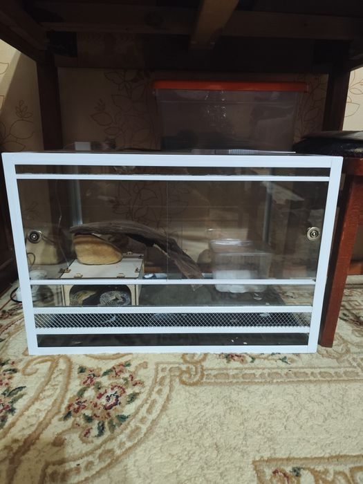 Продам террариум с питомцами эублефарами