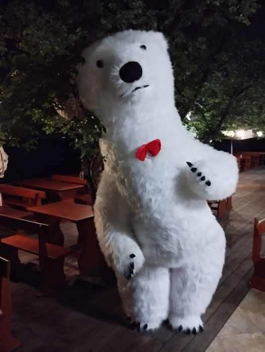 Бяло Мече за парти изненади