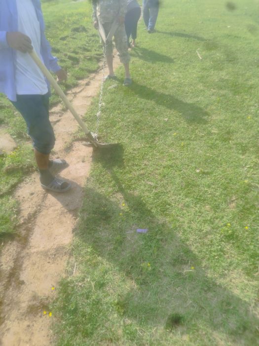 Tabiiy chim va ajriq