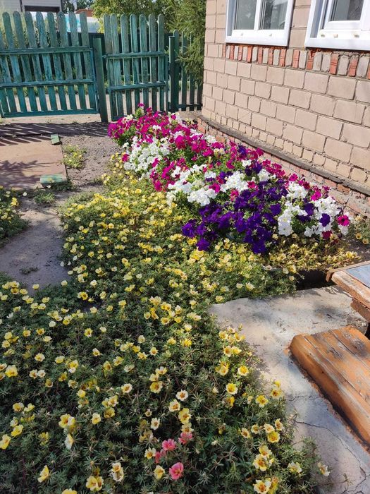 Продам дачу. Ромашка