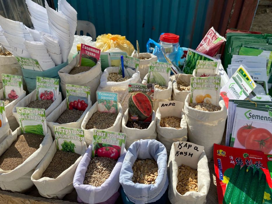 Семена Разного Вида Все Сорты имеются