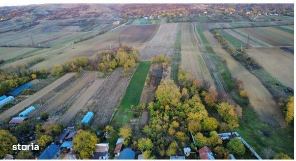 Teren extravilan arabil Goiesti, Dolj - 3084596