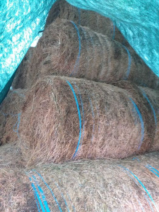 Vind Fin Lucerna si Paie asigur transport cu Tir