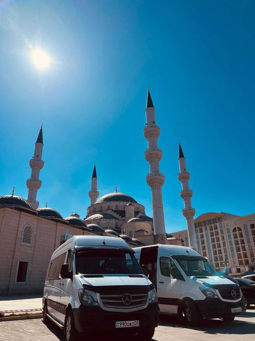 Пассажирские перевозки на Mercedes-Benz Sprinter