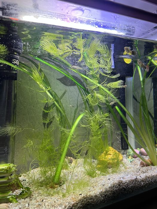 Акриловый аквариум