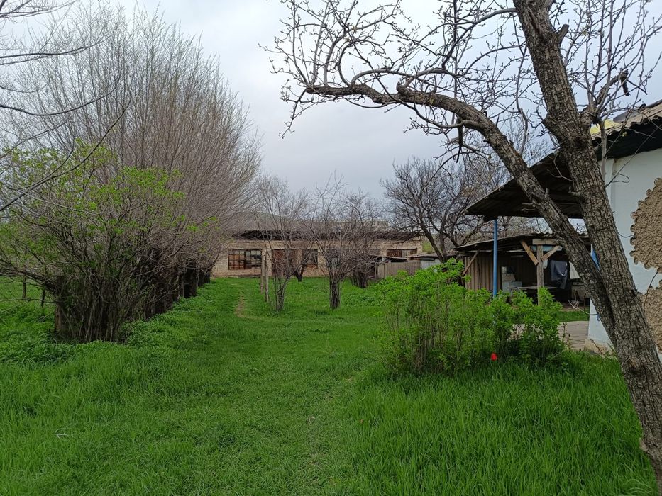 Продам дом в селе Дегерес