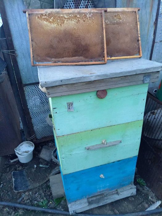 Пчелотара из трех корпусов  суш