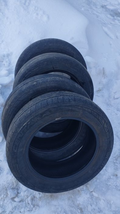 Резину продам на 15  на 185/65