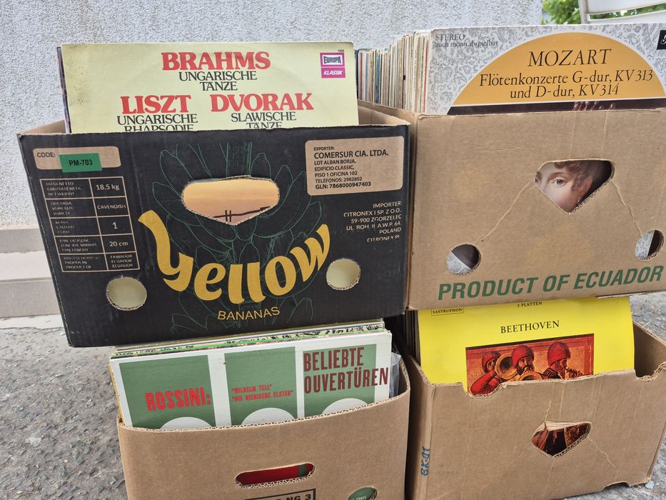 Vând Lot 100 Discuri Vinil colectie muzica clasica mixta