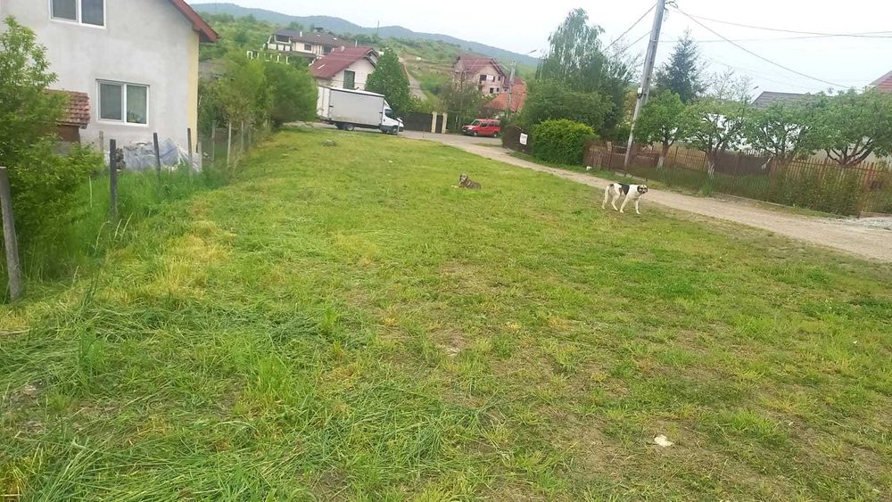 Teren  intravilan de vanzare Sigmir, Bistrita