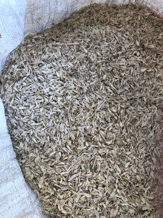 Ем. бугдойдан тушган пучок ва. хархил уруглар