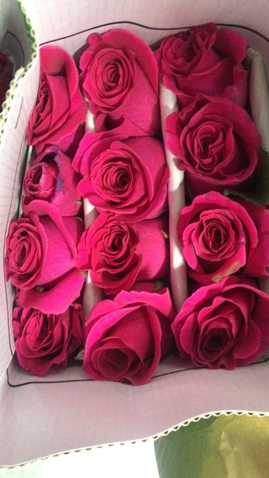 цветы  подарки букет