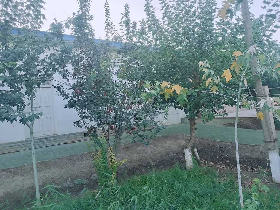 Barcha qulayliklarga ega hovli joy sotiladi (450mln pulini galishamiz)