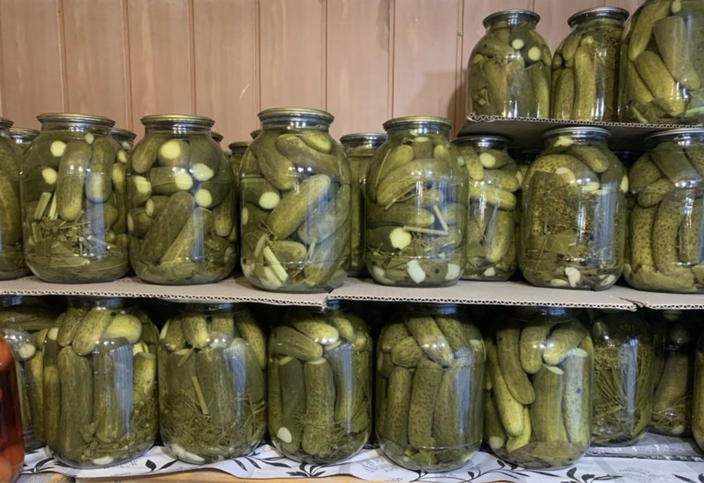 Огурцы (закатка 2025 года)